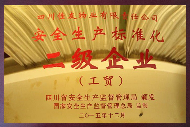 安全生產標準化二級企業